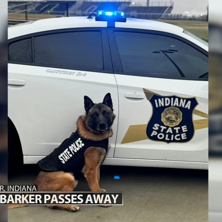 Beloved Indiana State Police K-9 'Barker' dies unexpectedly at age 8